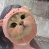 sandar.aung.7789