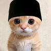 faujan.jlx