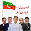 804_official_pti_804