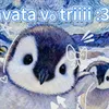 tincutihiha