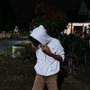 rizz374