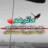 user5909680240101