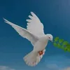 jose_bonifacio__