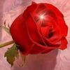 sadia.ehsan2