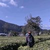 adipiriyanto