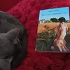 ada.giannella.ada