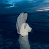 shafitry_143