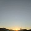 rolan_046