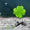 nhy_nguyen14