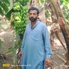 abdull.kareem.abd