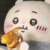zhang_xinyi071