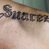 suarez6441