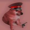 perro_pend3j0