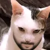 nick.tabz