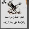 user51319822888756