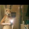 user1436193135315