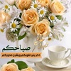 sameh.khaled81