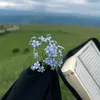 aso_7373