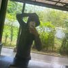 sorfa_52