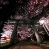user7908308116096