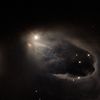oxx_48