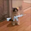 aabbqq313