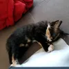 thegreything0