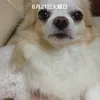 nocky424