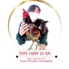 Tony Farm