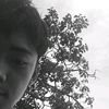 lyccaell