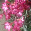 user9212986998476