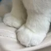 udonnoneguse