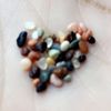 hassan.alshehri2