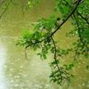 user49051796303603