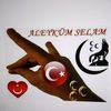 ramazanreis67