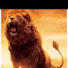 nadeem.suno4