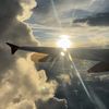 flight_holic