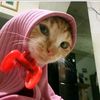 bucin_tv.g4m1ng