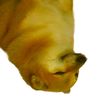 ciskai_