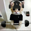 cat_gymbro