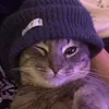 kyle2kz