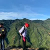 tiktokib_foll
