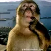 leminhcanh.ww.tiktok