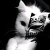 ky_ubaid5mb2