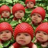 user.lemonnn