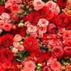 user9041093151206