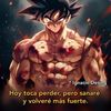 chapin.flakito123