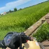 mo876715