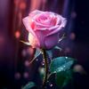 asasy4294