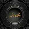 mohamed.amir238